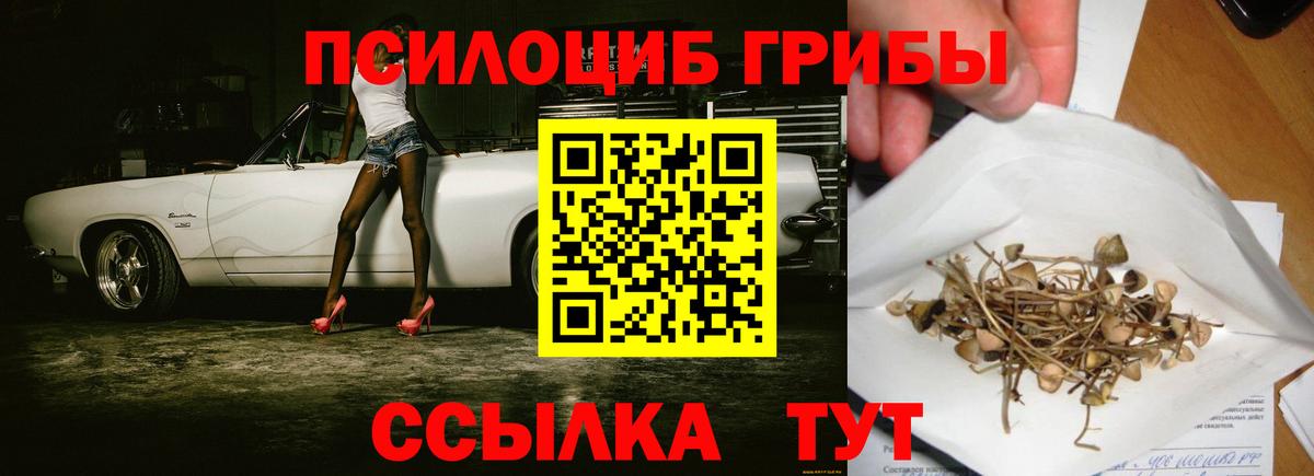 Псилоцибиновые грибы мухоморы  Вход с VPN  цена   Ревда 